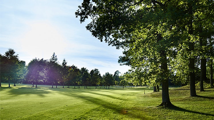 Kuva aurinkoisesta golfkentästä