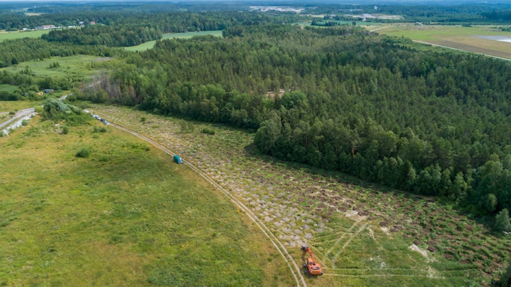 Ilmakuva metsästä