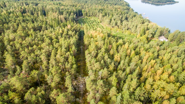 Ylhäältä päin otettu kuva vihreästä metsästä