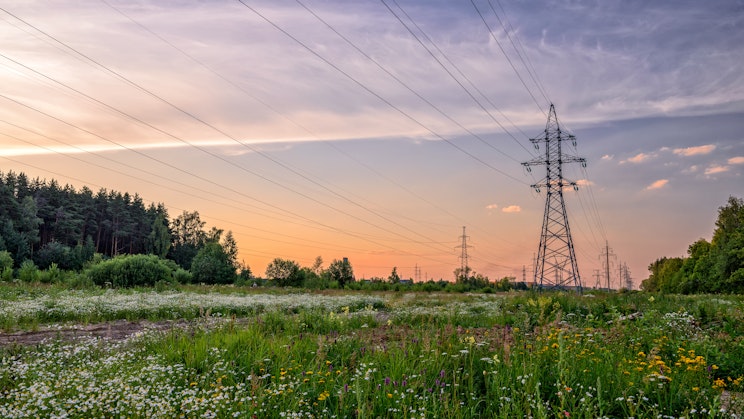 Kukkapellon yli menevät sähköverkot