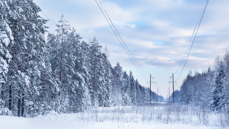 Talvinen kuva sähkölinjoista
