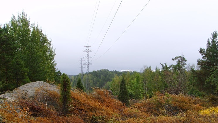 Suurjännitejohdot metsämaiseman yllä.