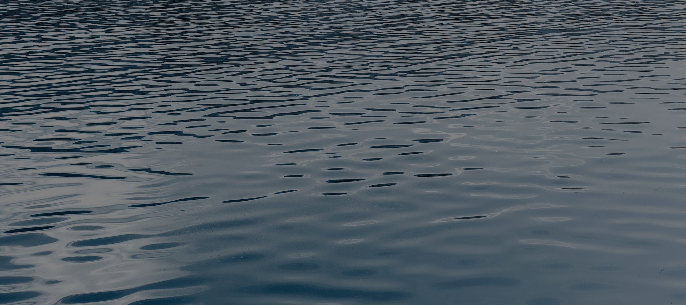Background media