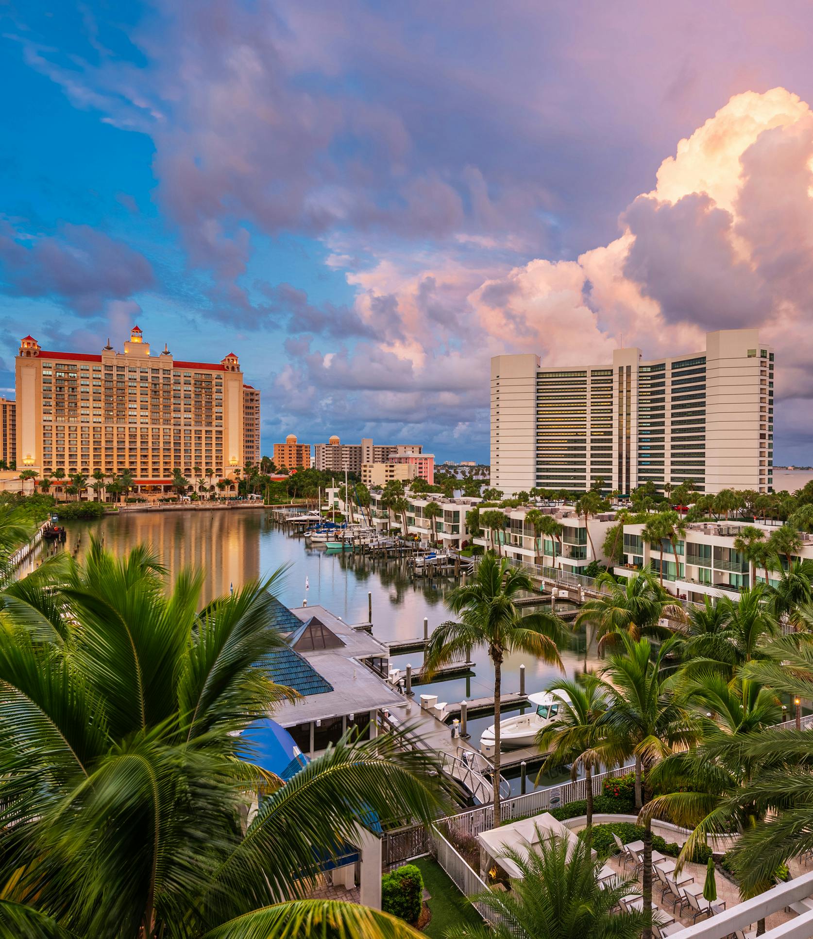 picture of large buildings and palm trees