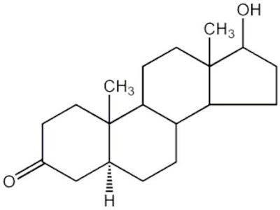 PRP increase levels of DHT