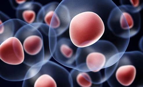 pain and orthopedic regenerative medicine