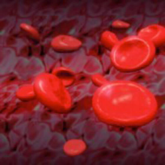 red cells