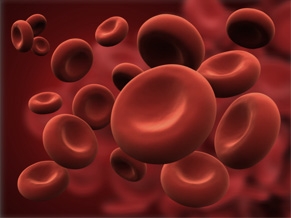 red cells