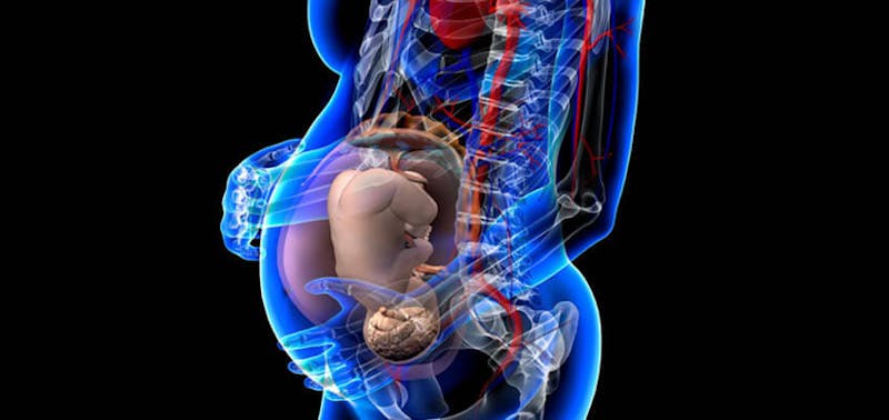 pregnant woman