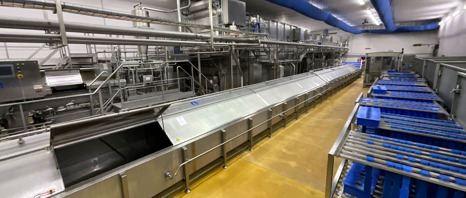 Complete state of the art Mozzarella production line