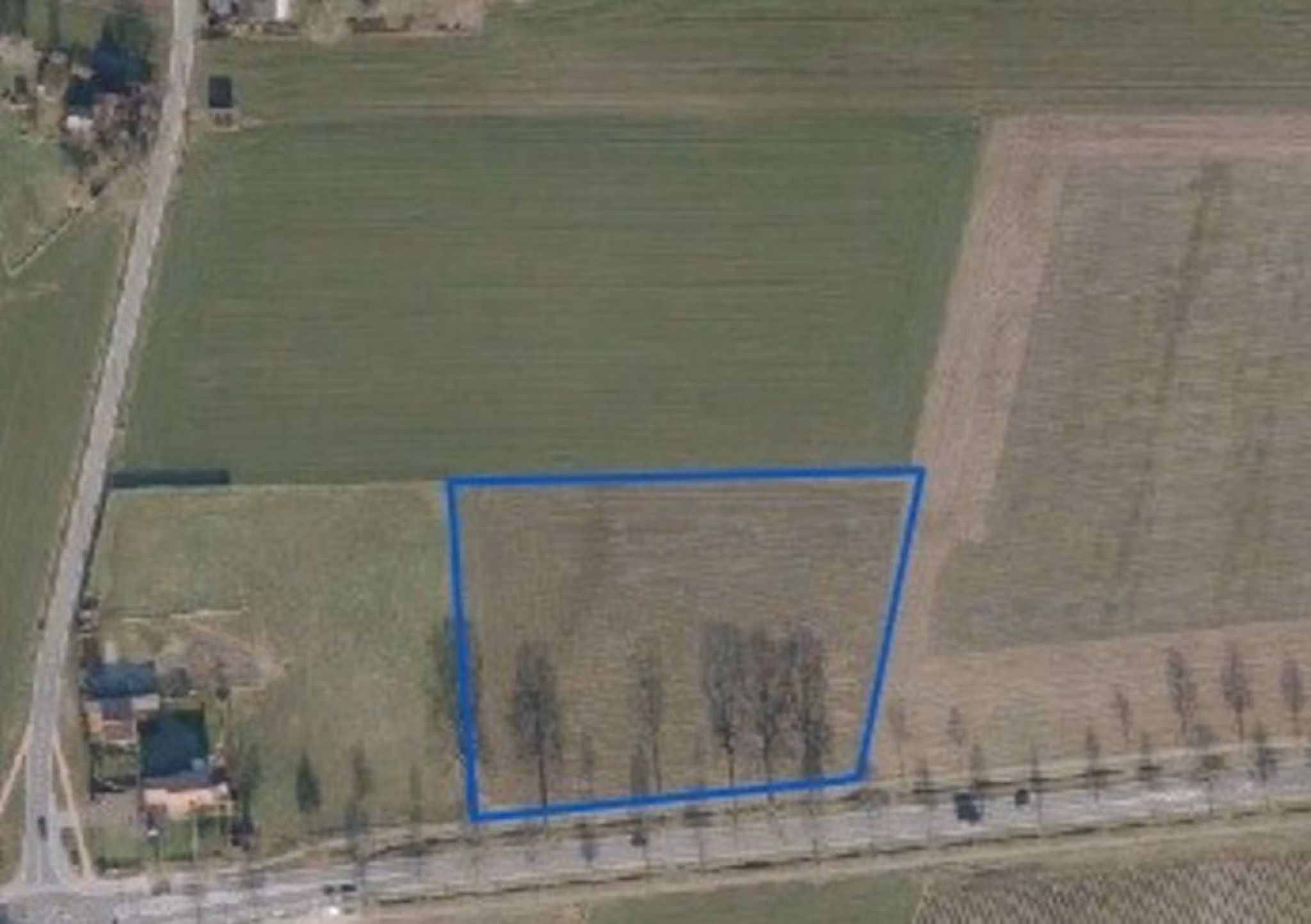 Perceel agrarisch grond Peer Belgie te koop