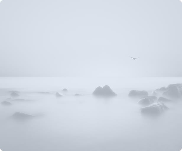 Gallery media