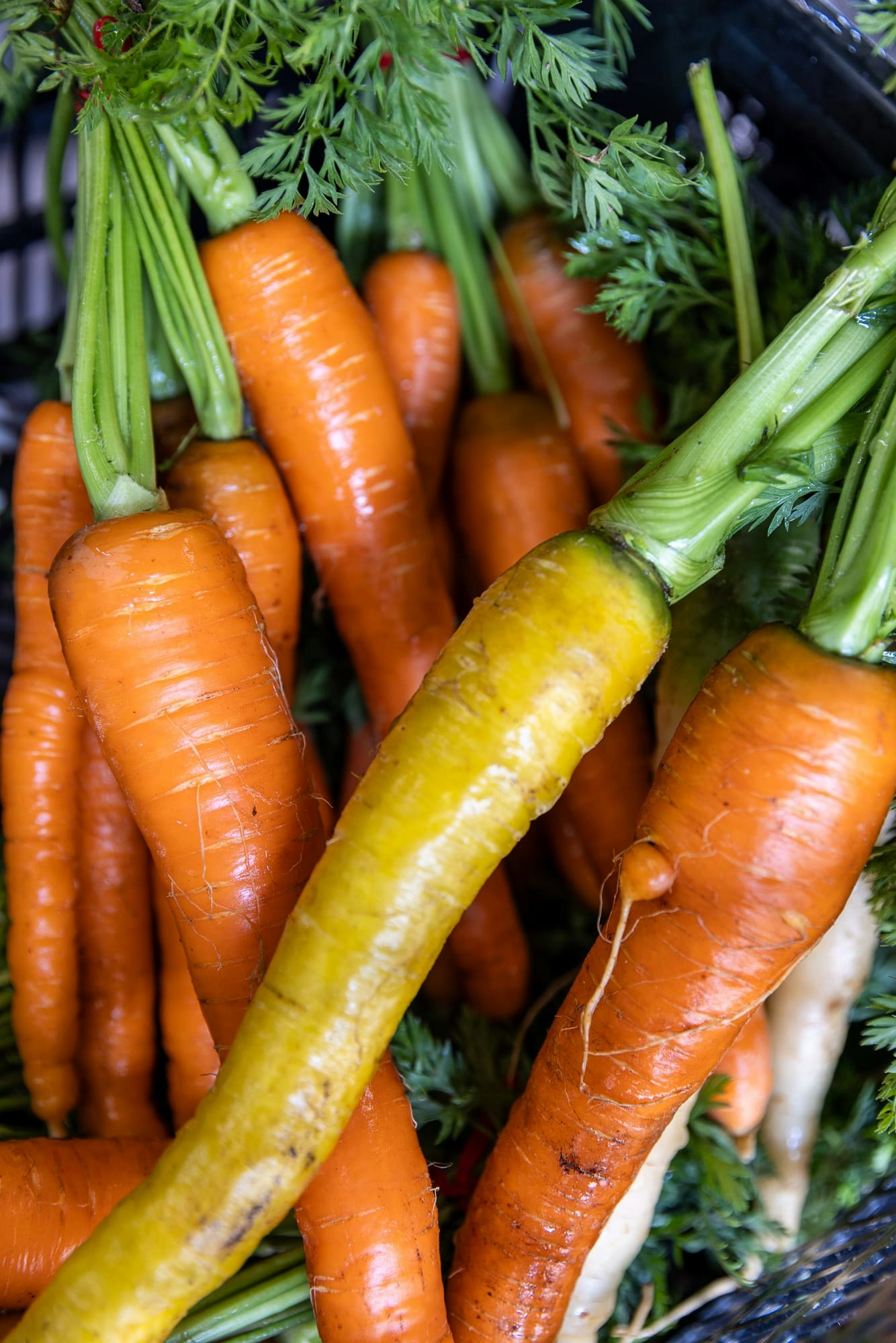 East End Food - Food Hub - Carrots