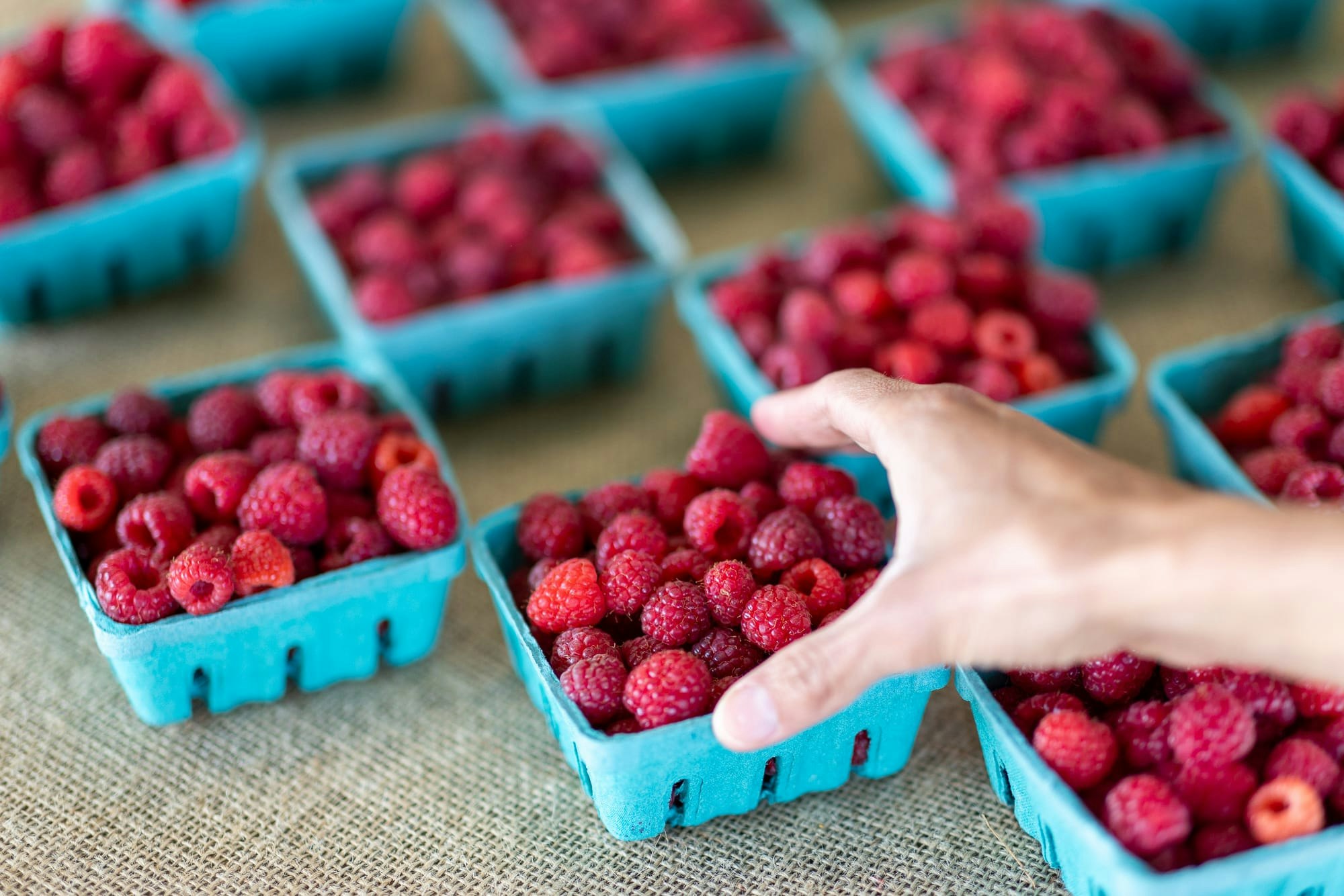 East End Food - Food Hub - Berries