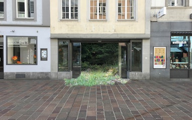 Projekt Schaufenster