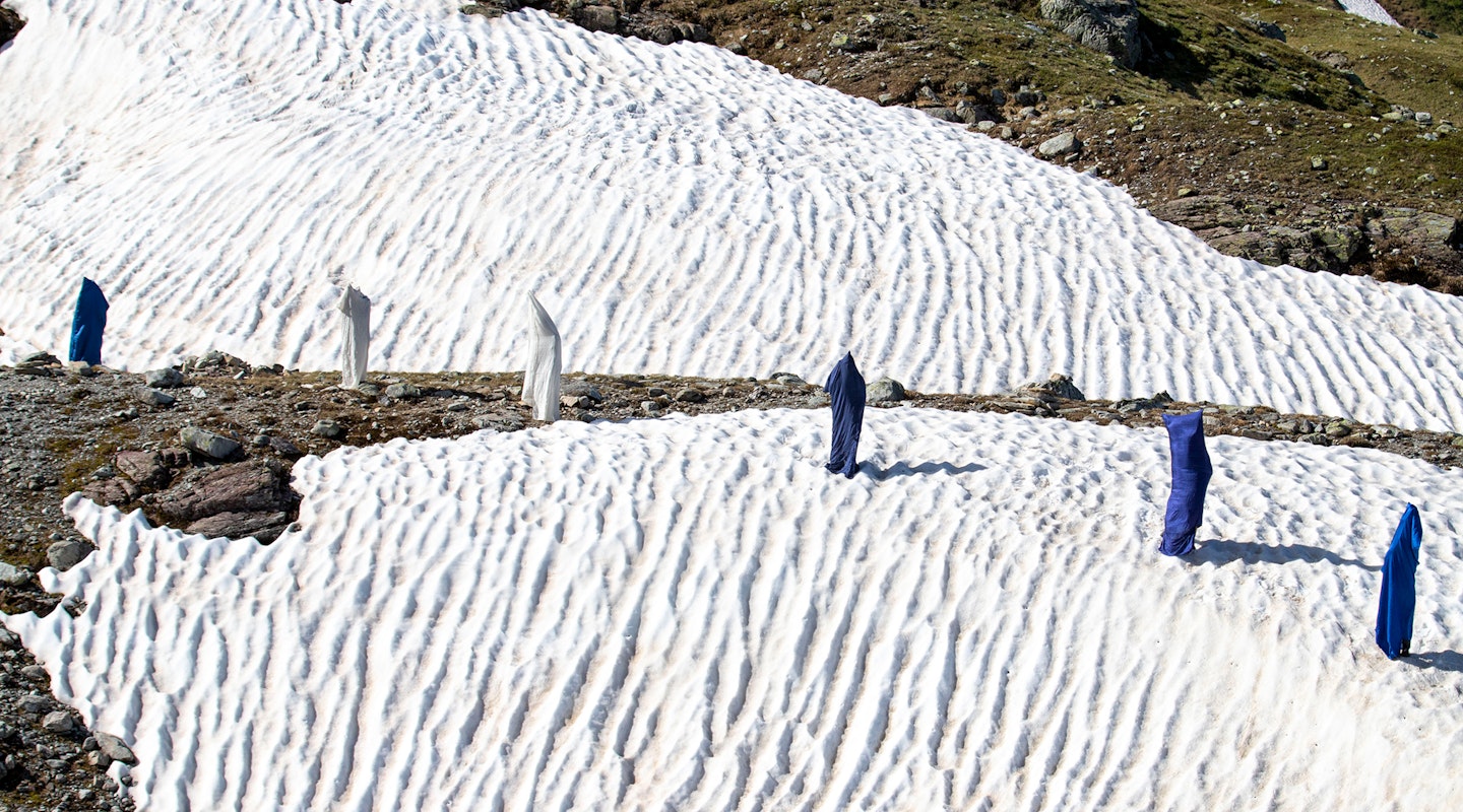 Exkursion Naturintervention