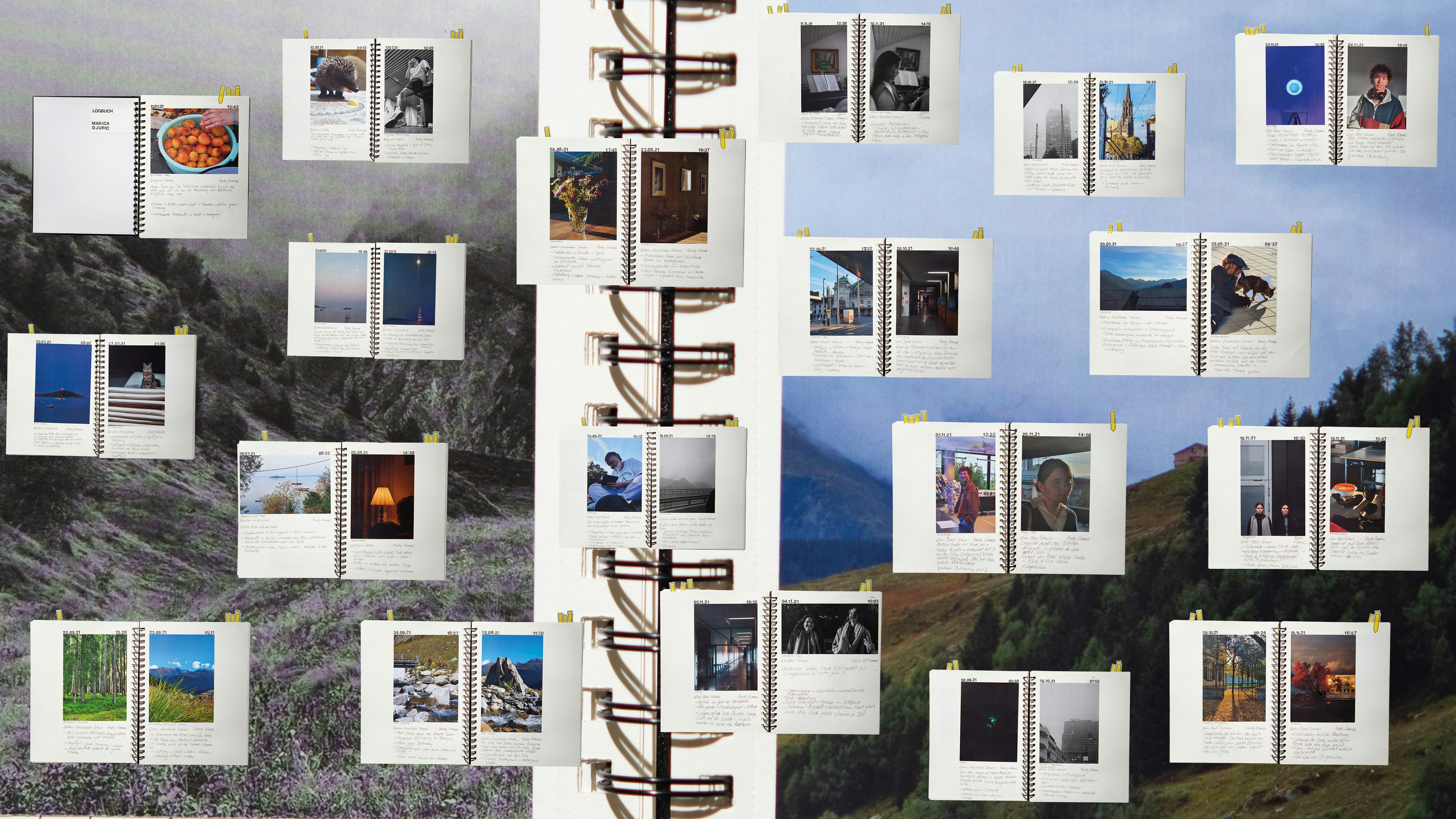 Lieblingsarbeit Marica Djuric