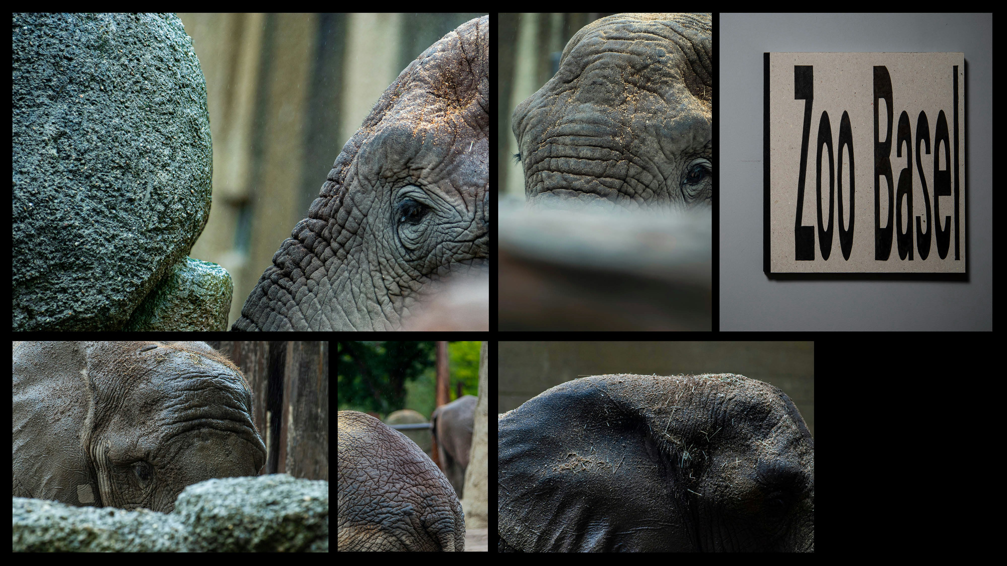 Lieblingsarbeit Noah Varni