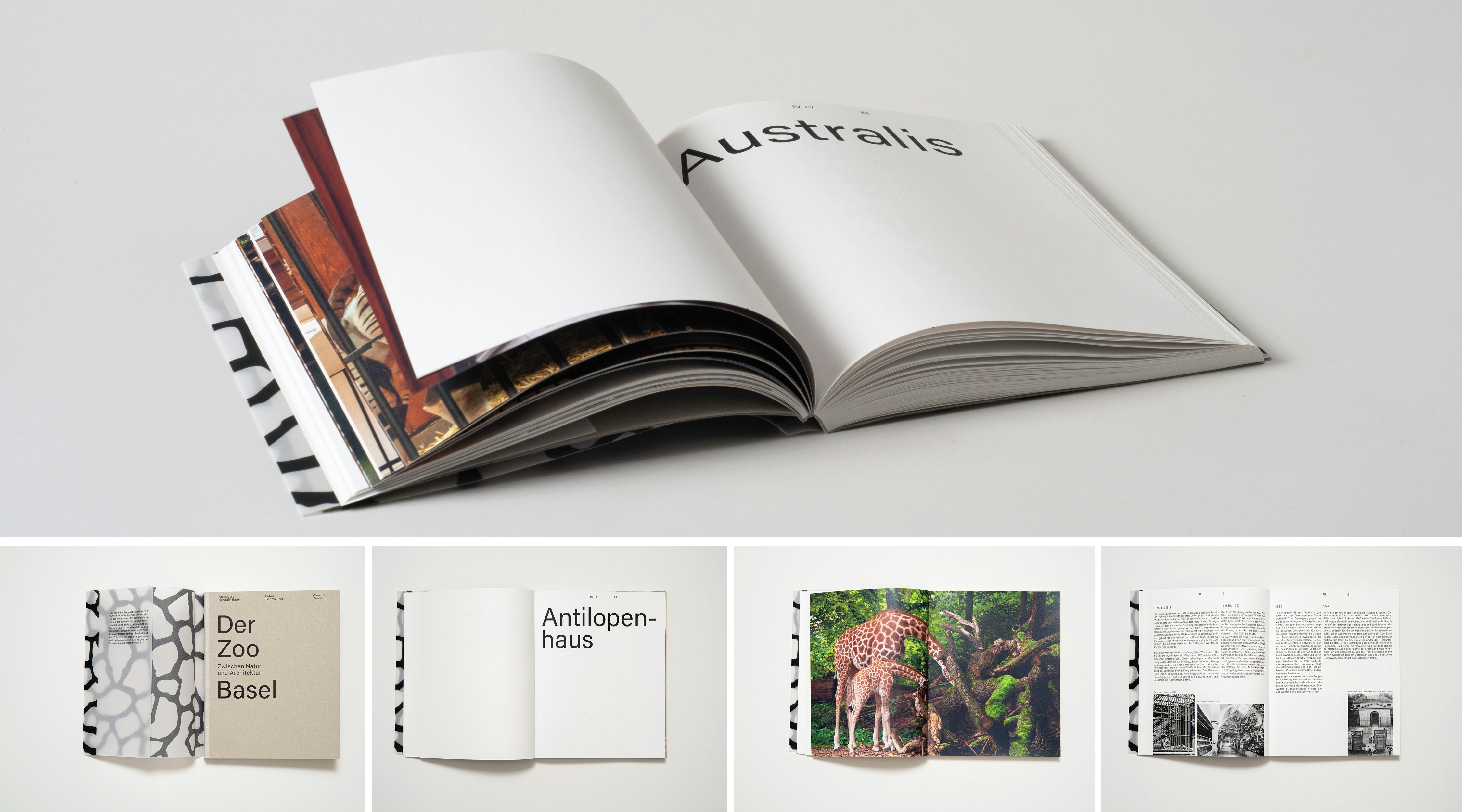 Lieblingsarbeit Camilla Zanoni