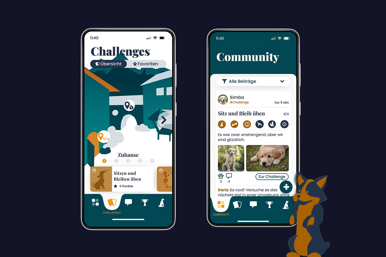 Diplomarbeit BarkHub