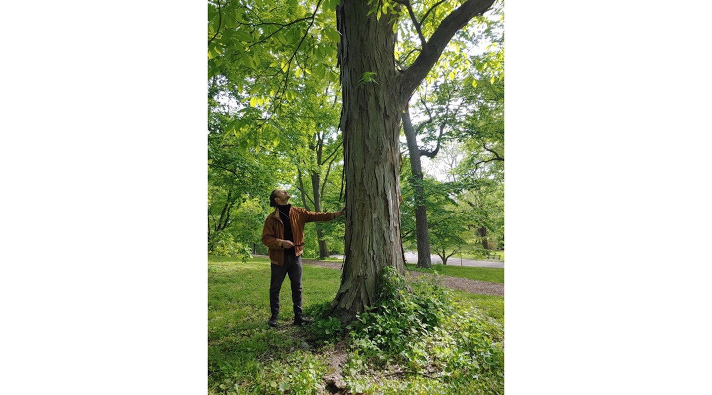 Mann steht neben Baum