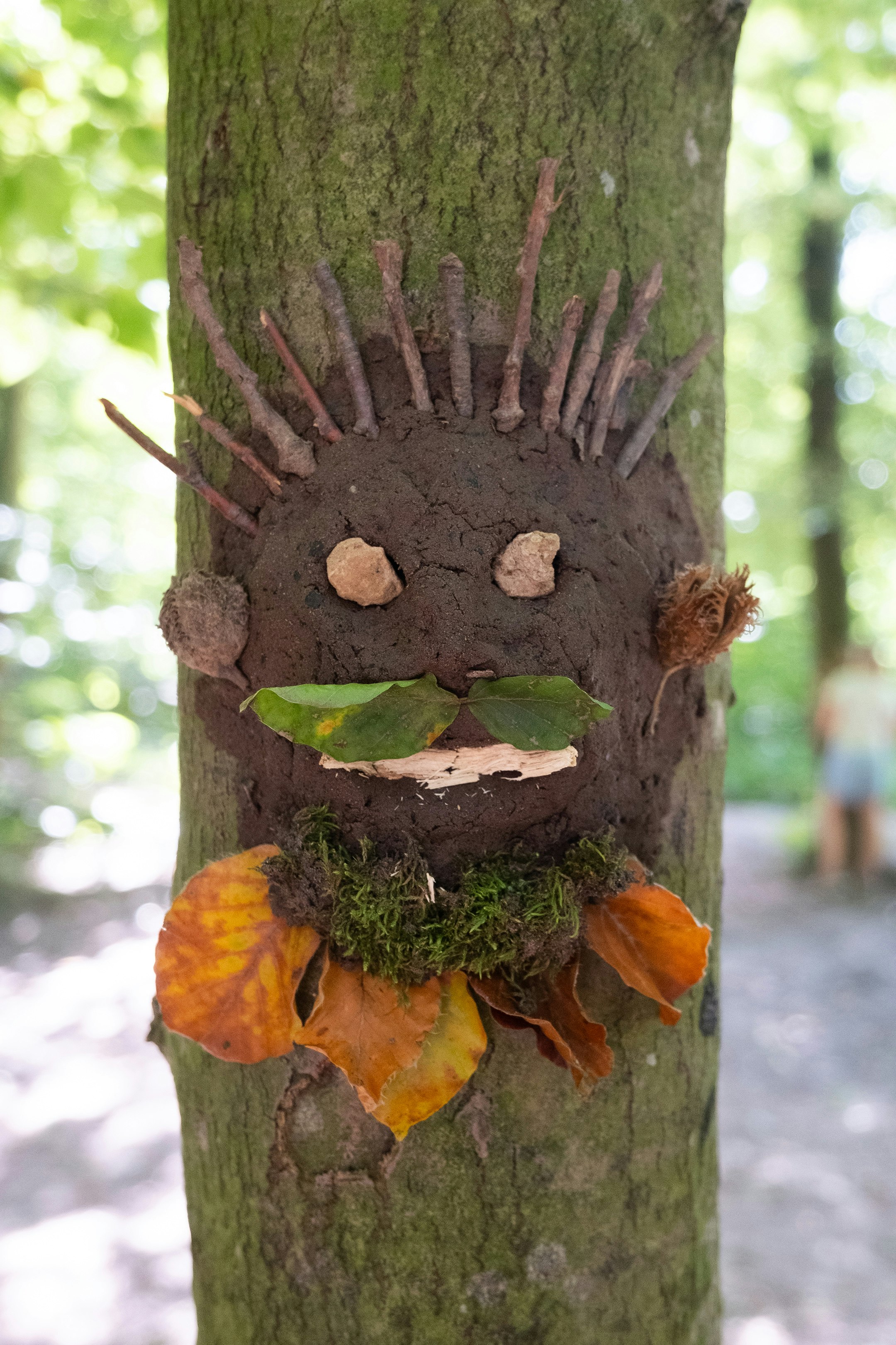 Gesicht aus Lehm an einem Baumstamm. Es ist mit verschiedenen Erdfarben angemalt.