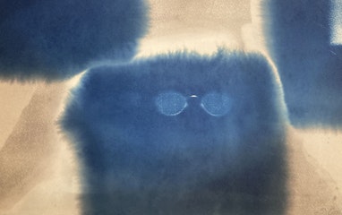 Cyanotypie