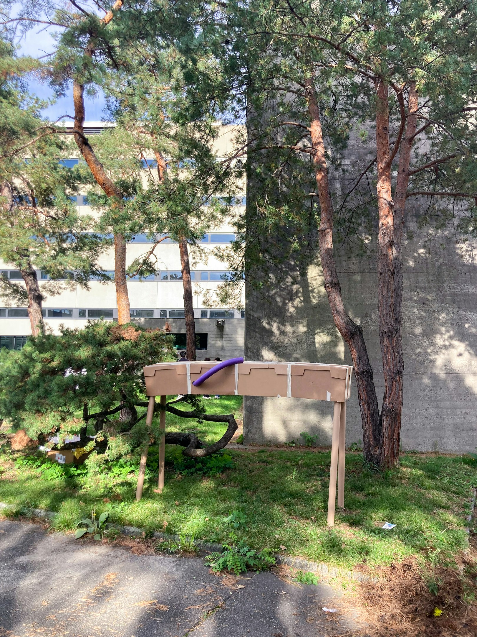 Objekt aus Holz und Karton im Freien, Bäume und Gebäude im Hintergrund