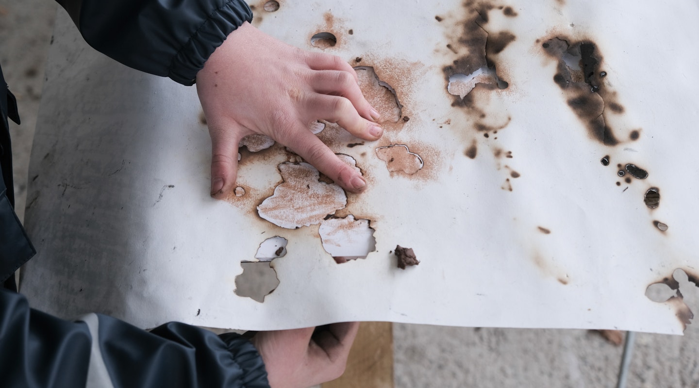 Bild aus der Werkstatt Natur