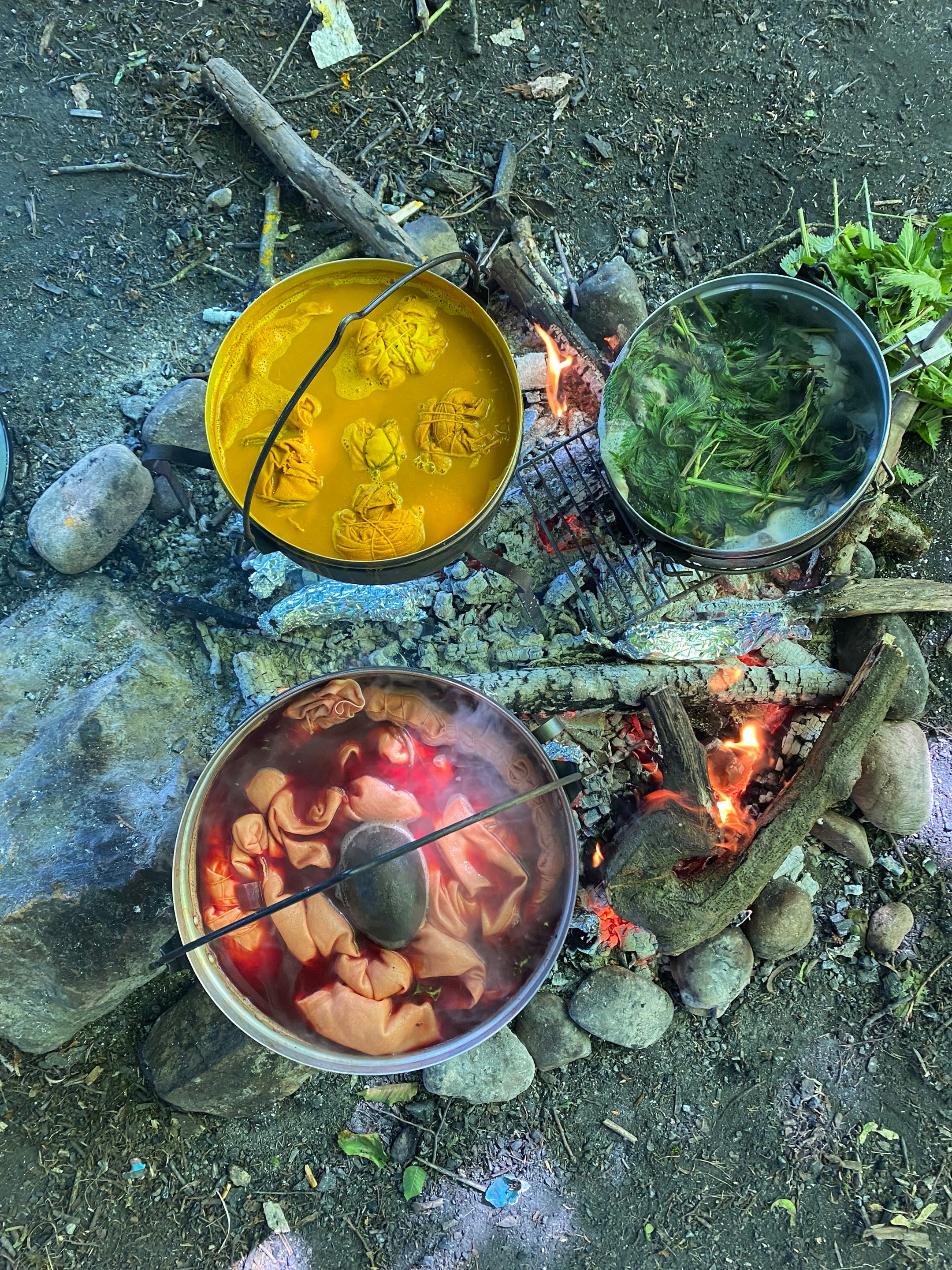 Bild aus der Werkstatt Natur