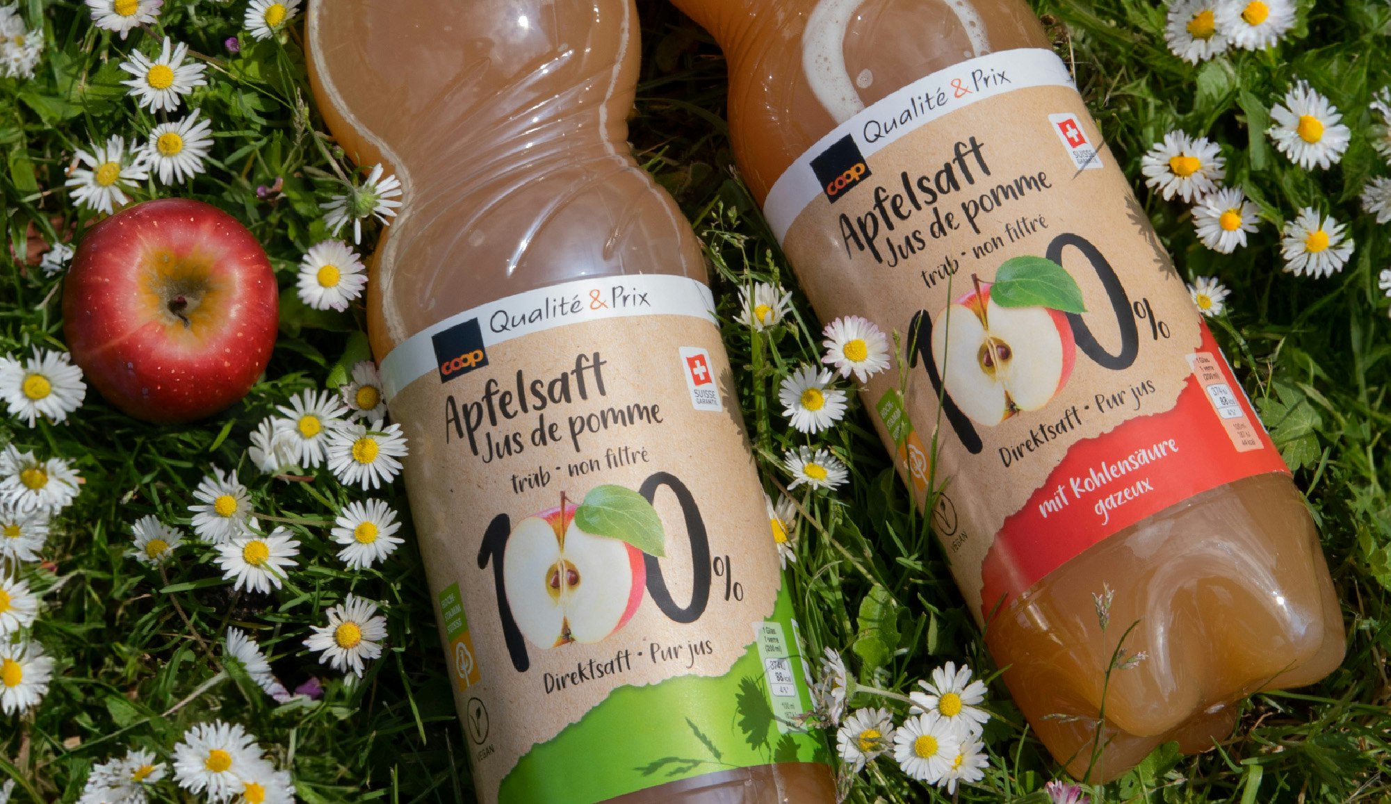 Arbeitsbeispiel Darsha Bär