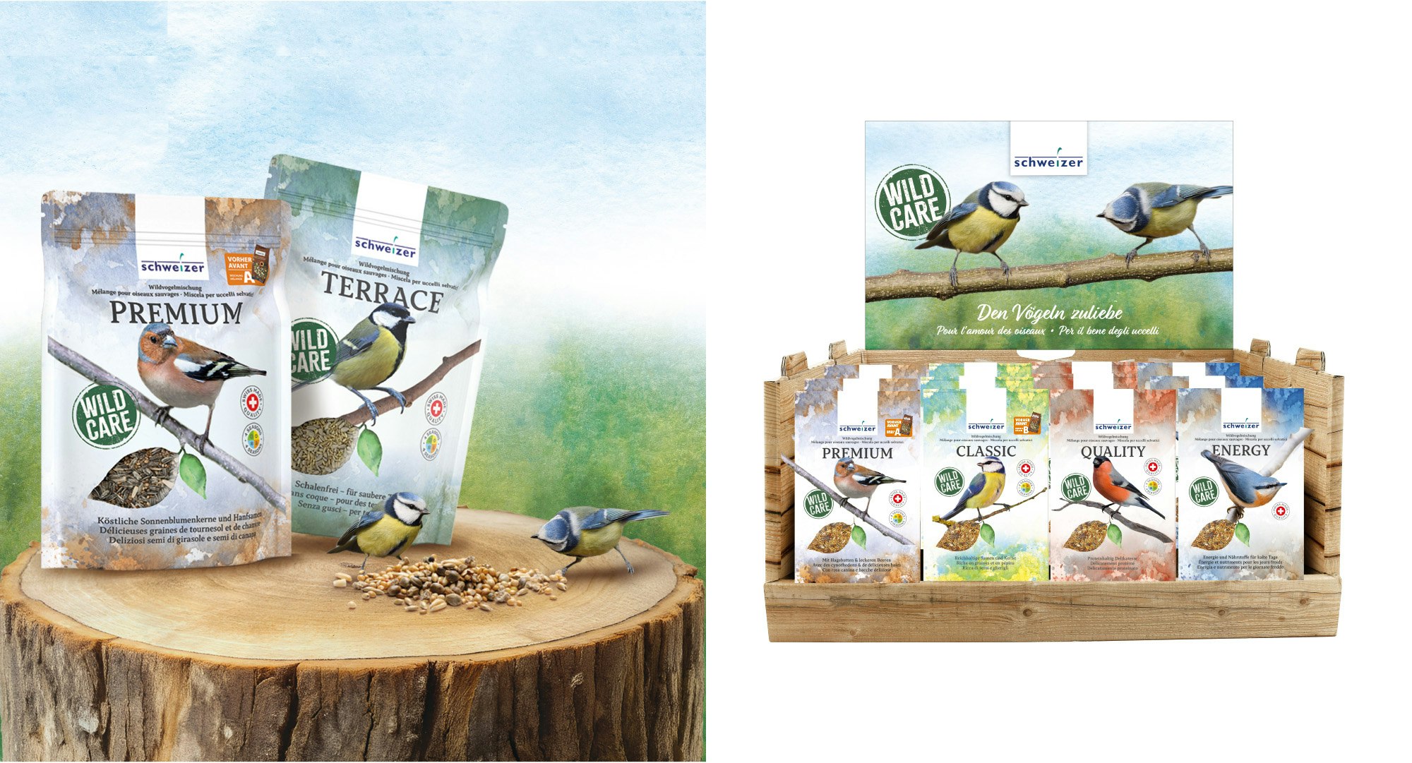 Arbeitsbeispiel Darsha Bär