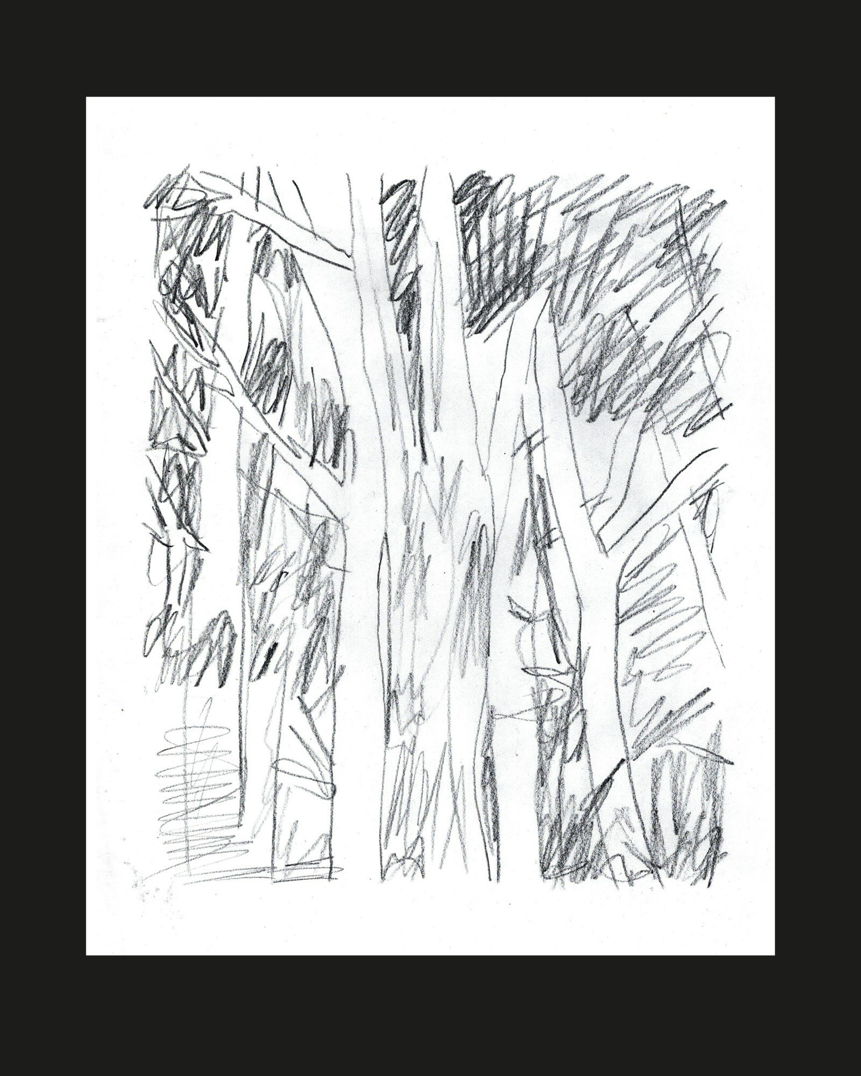 Malerische Arbeiten zum Thema Wald
