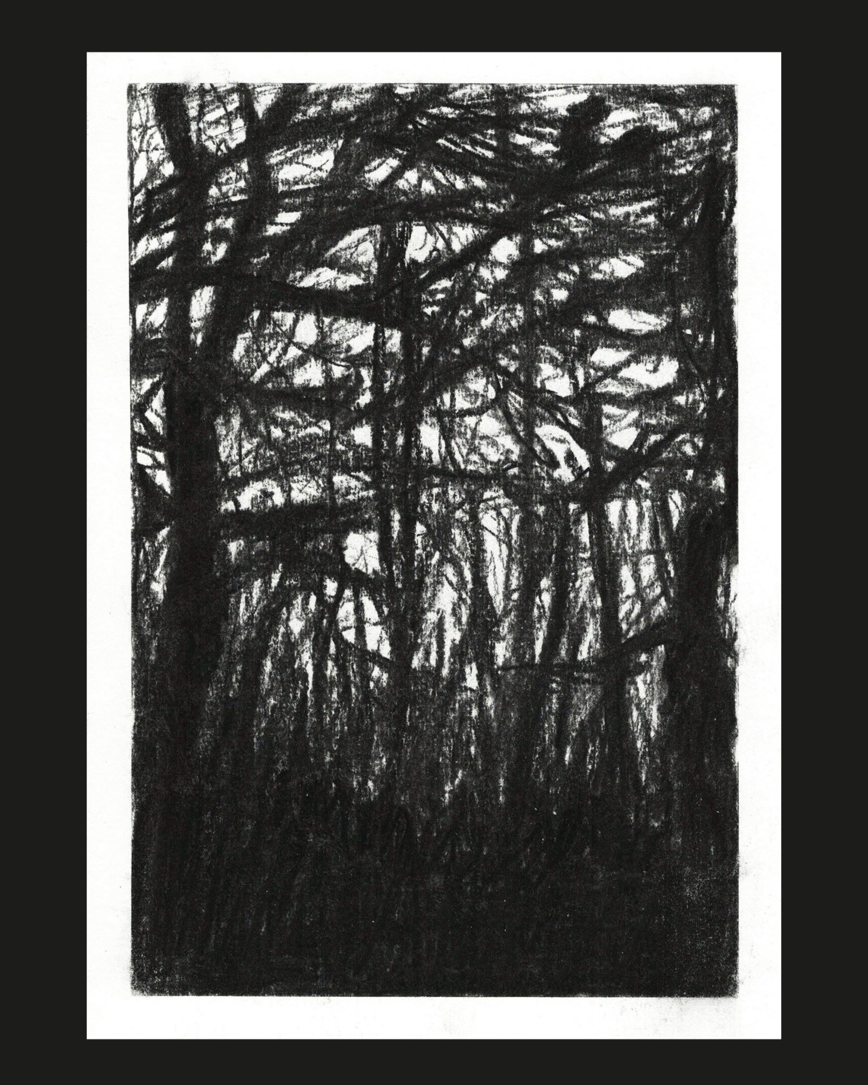 David Hirschi Malerische Arbeiten zum Thema Wald