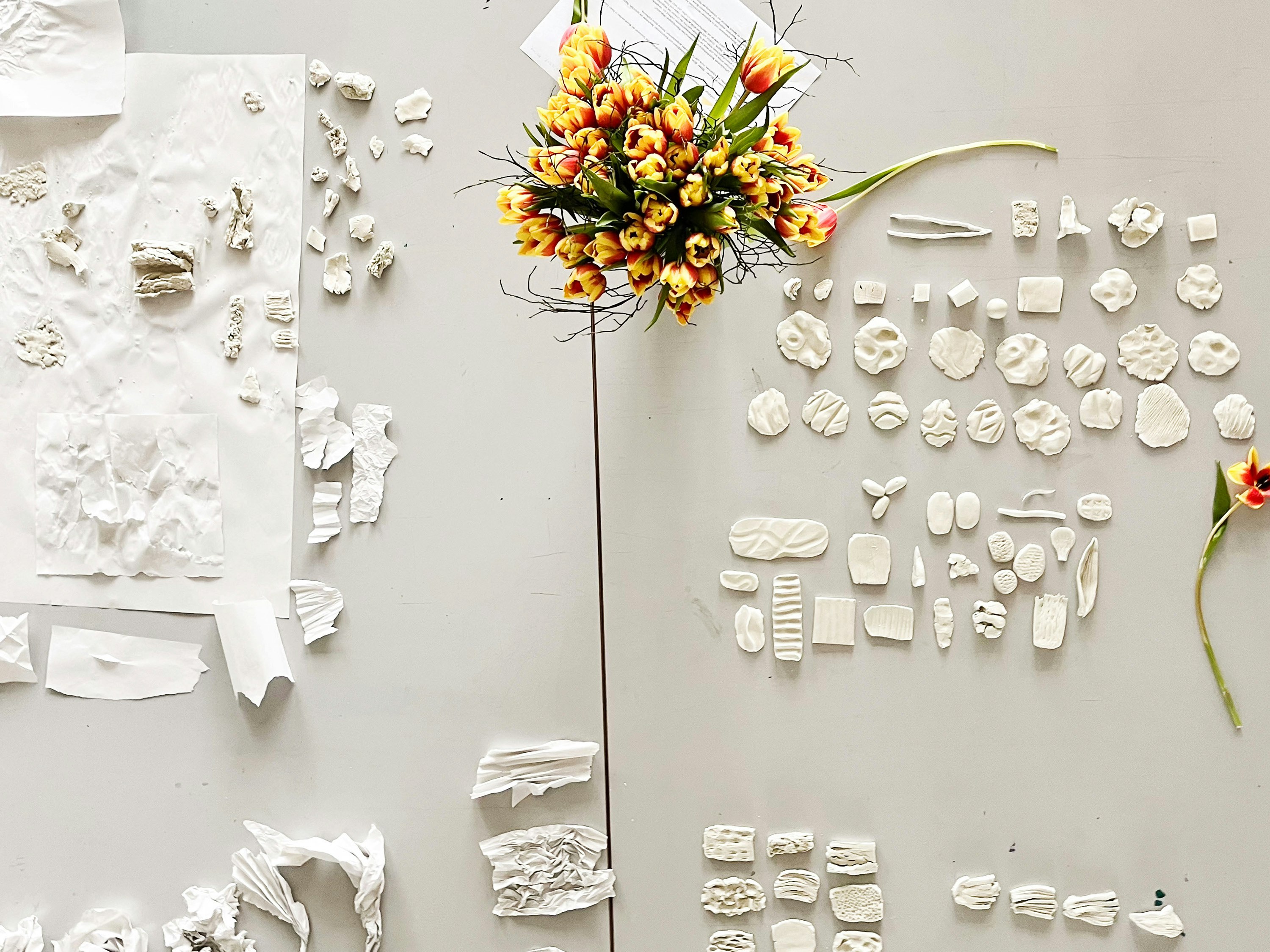 Foto: Patricia Geistert HF TD Floral