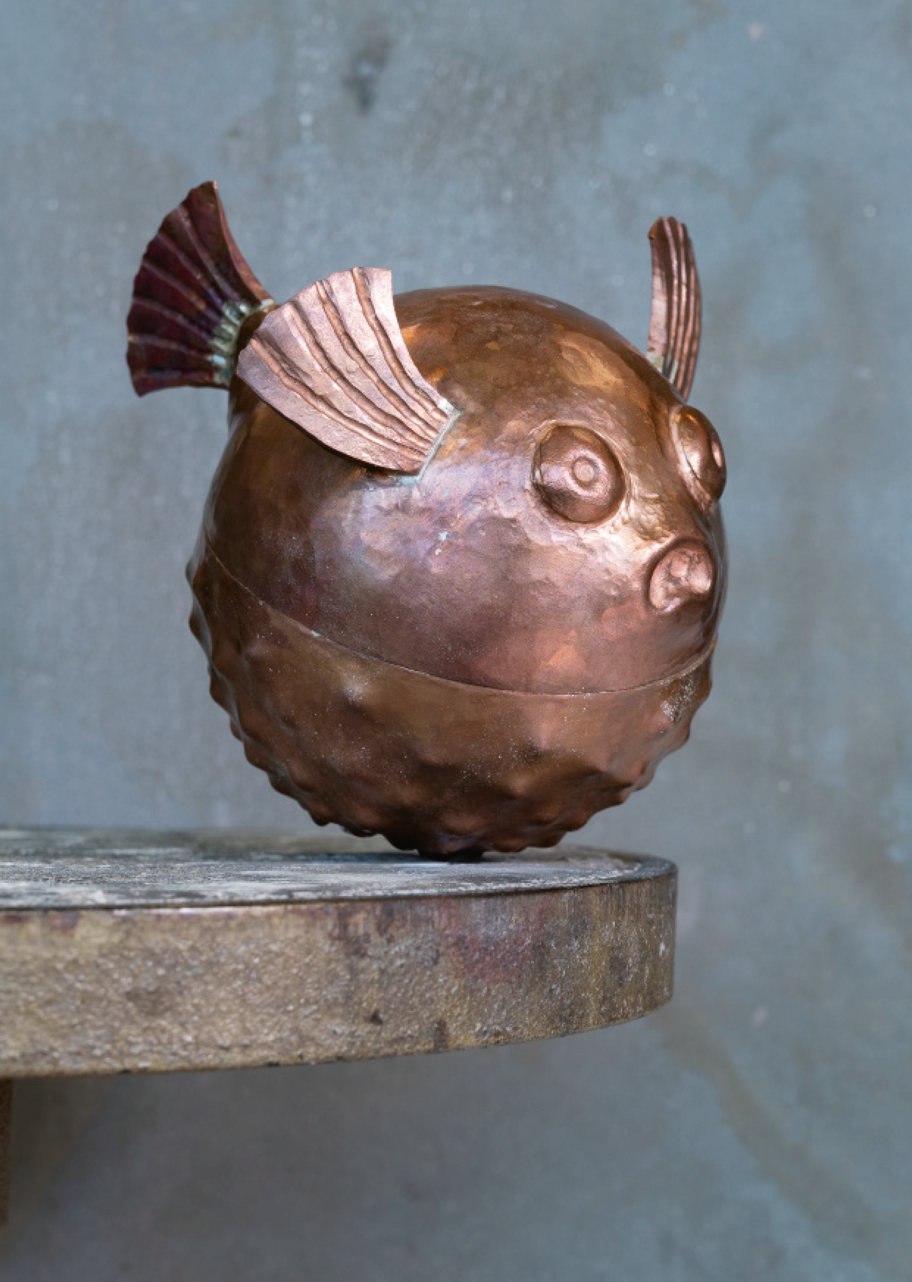 Dose in Fischform
