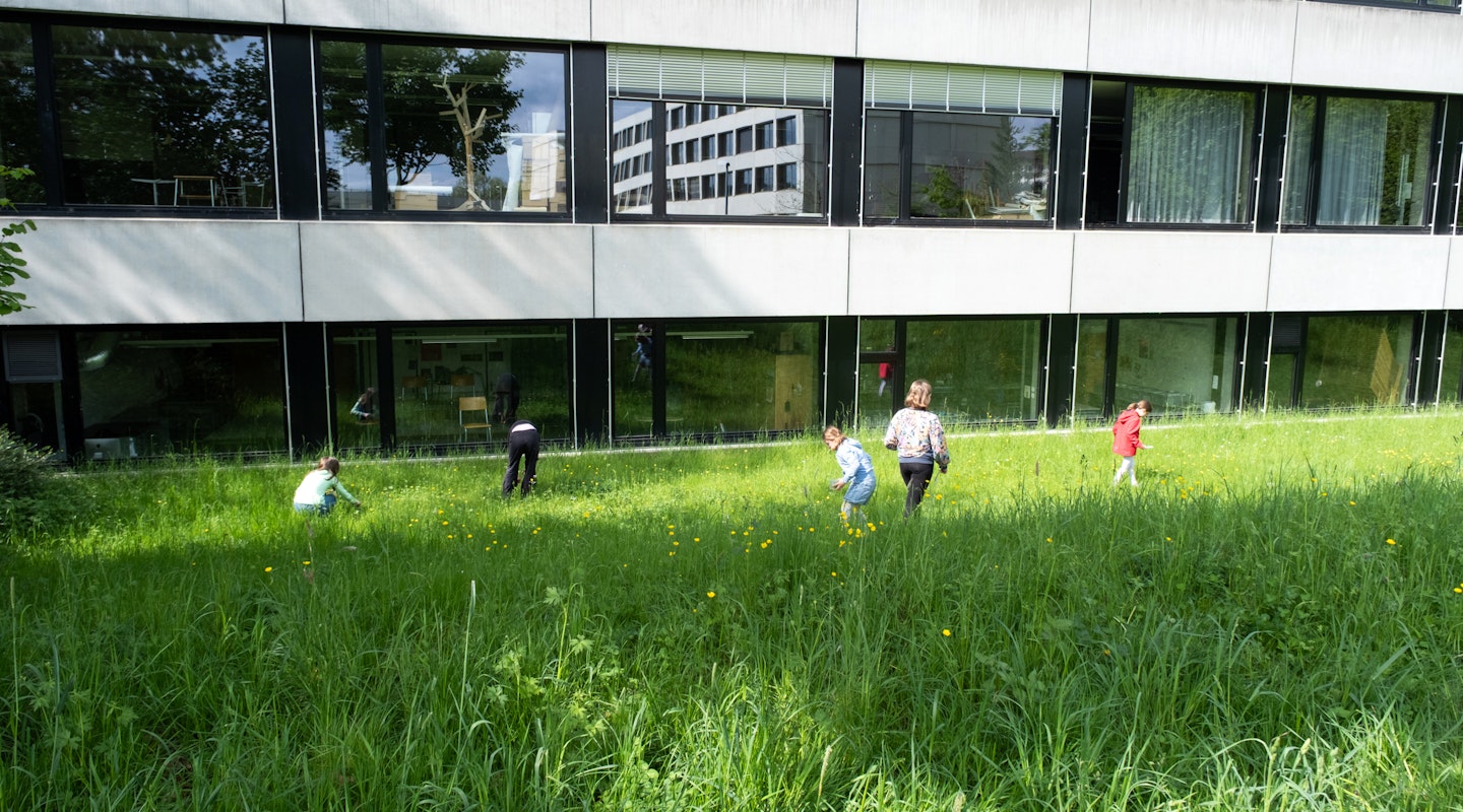 Auf der Wiese vor einem Gebäude sind ein paar Kinder unterwegs und sammeln Blumen. Szene aus dem Workshop «Experimenteller Siebdruck», Frühlingssemester 2025