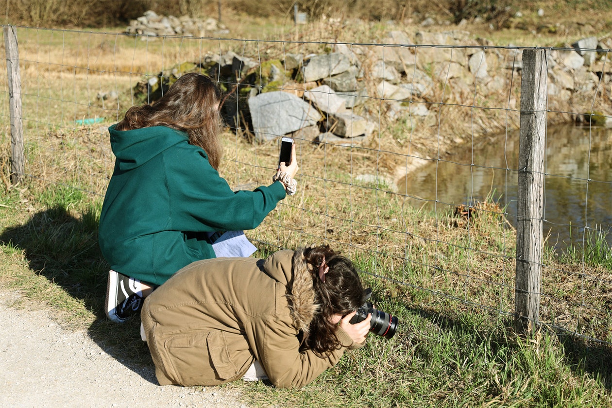 Fotografieren in der Natur