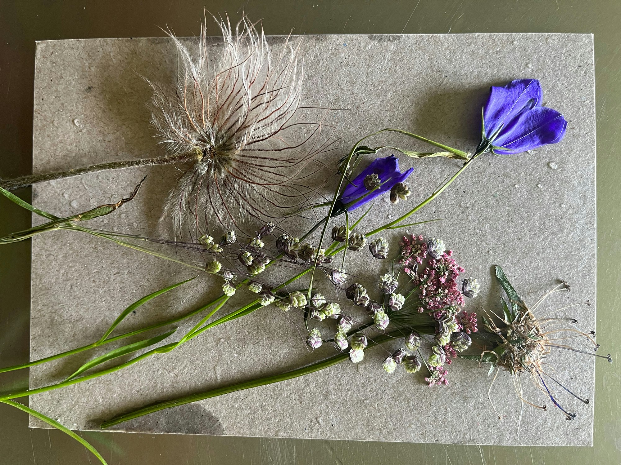 Blumen liegen auf einem Stoffvlies.