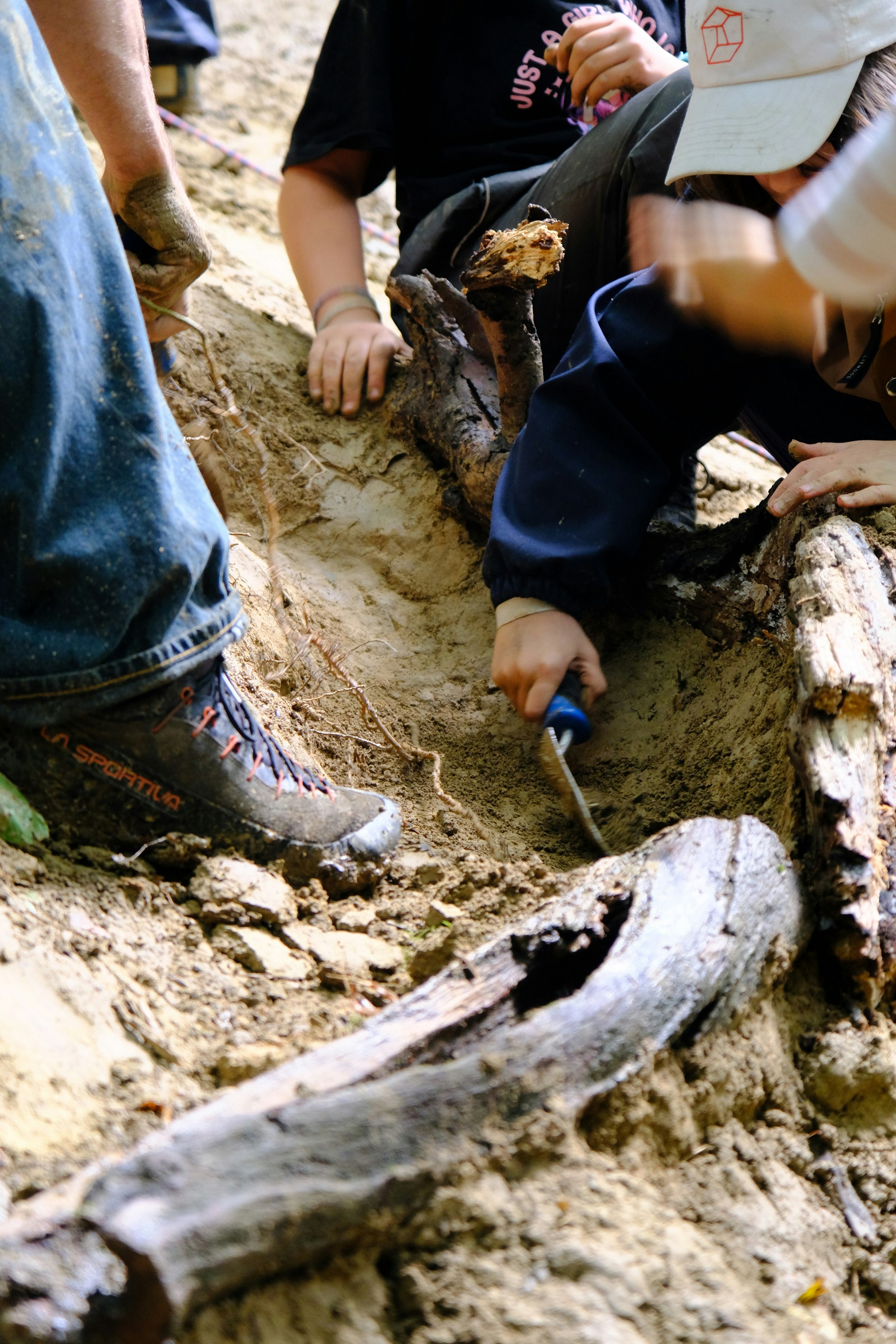 Kinder graben in der Erde im Wald.