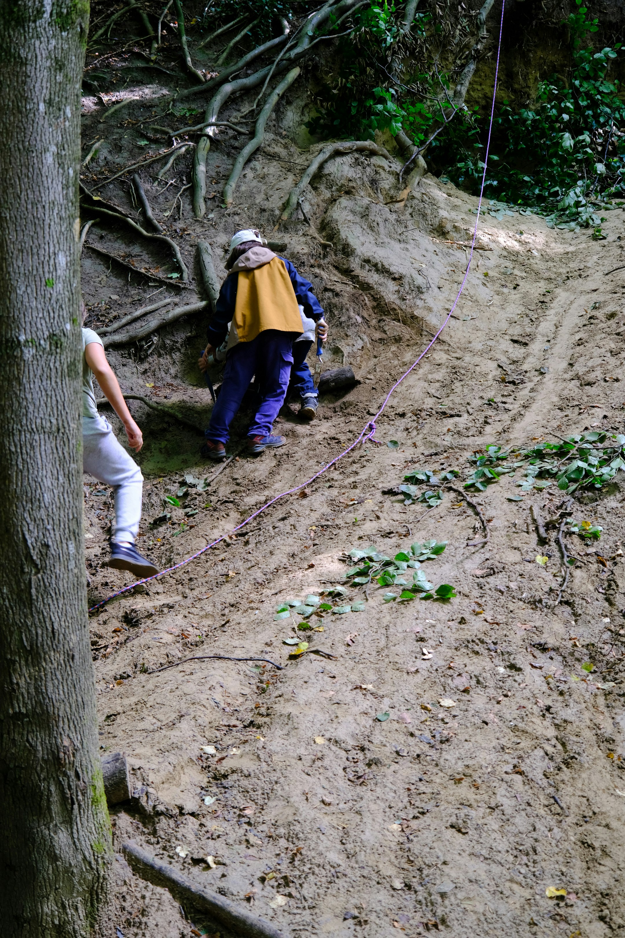 Kinder klettern einen Waldhang empor.
