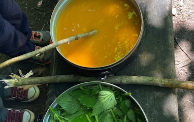 Töpfe mit Pflanzen zum Färben