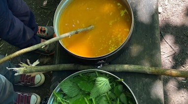 Töpfe mit Pflanzen zum Färben