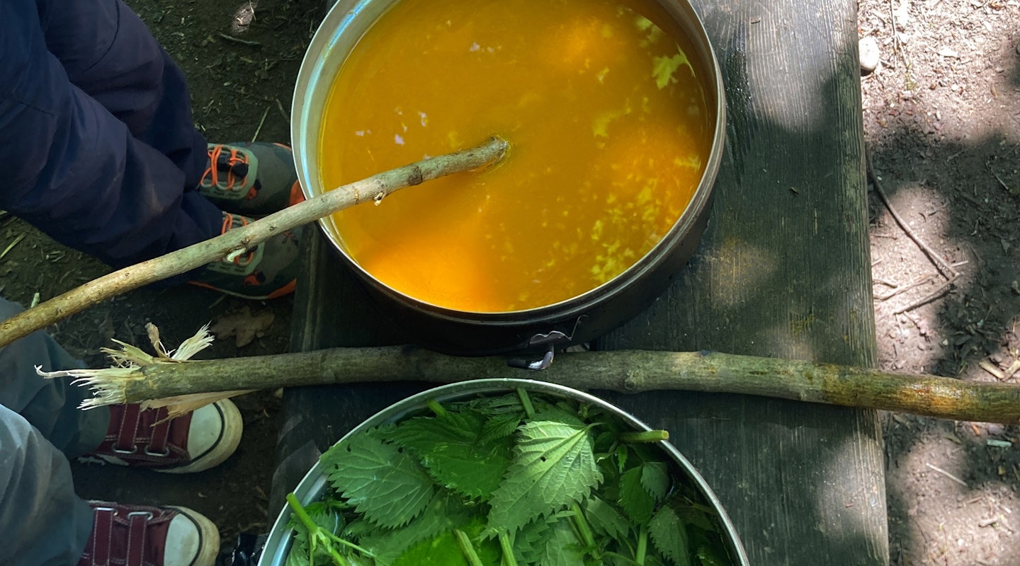 Töpfe mit Pflanzen zum Färben