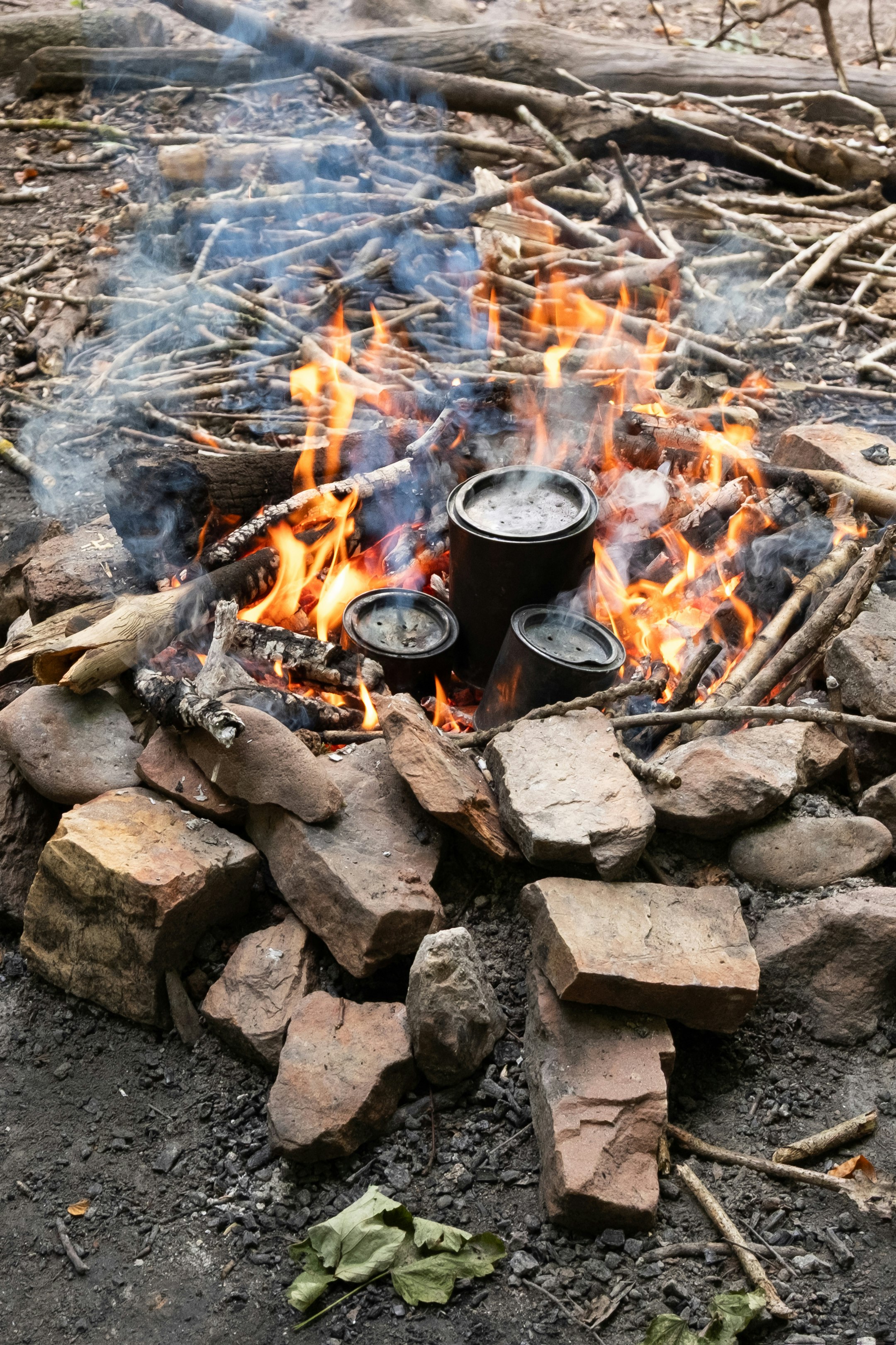 Unterricht im Kurs Werkstatt Natur