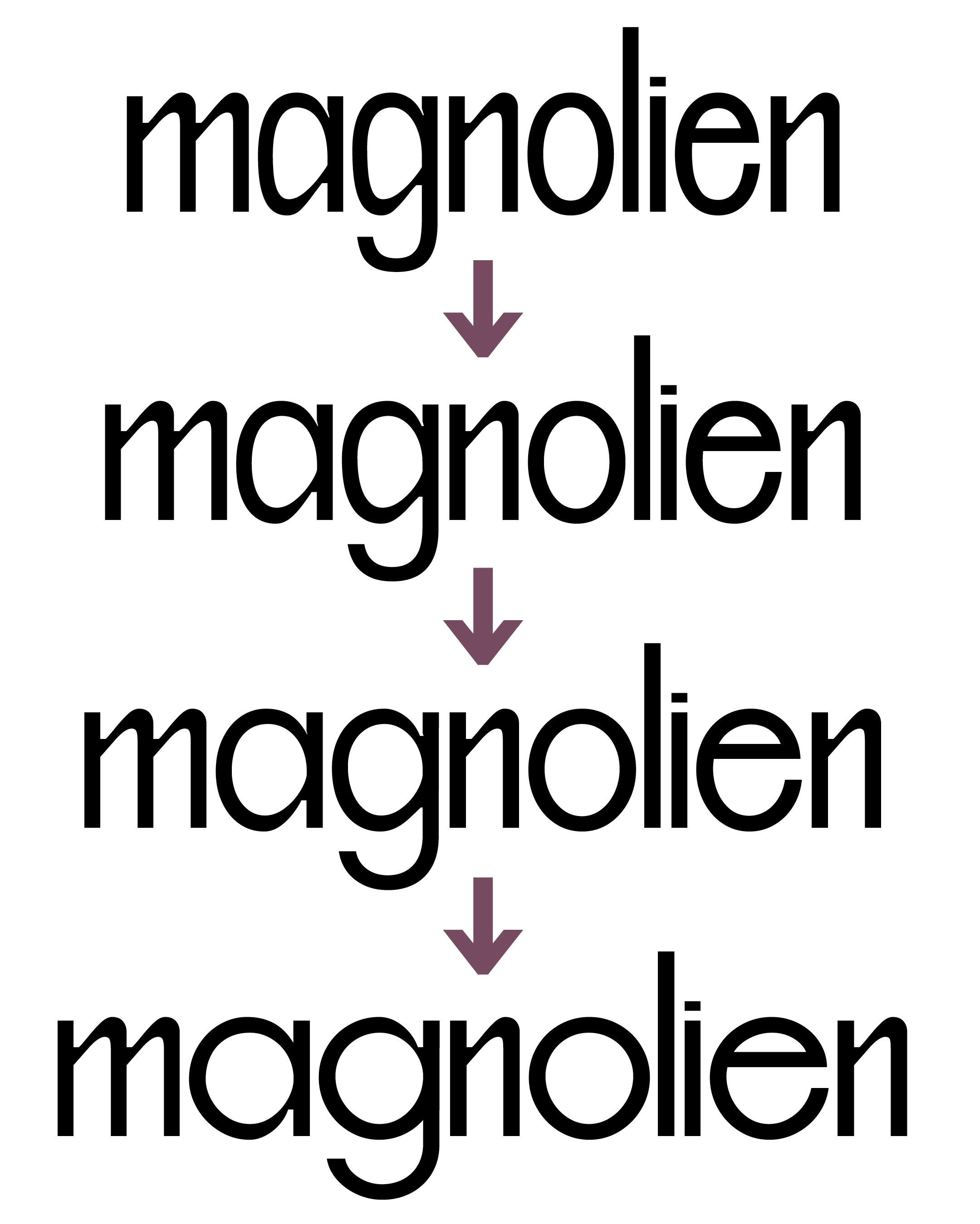 Hanna Weber HF VG Einblick Type Design