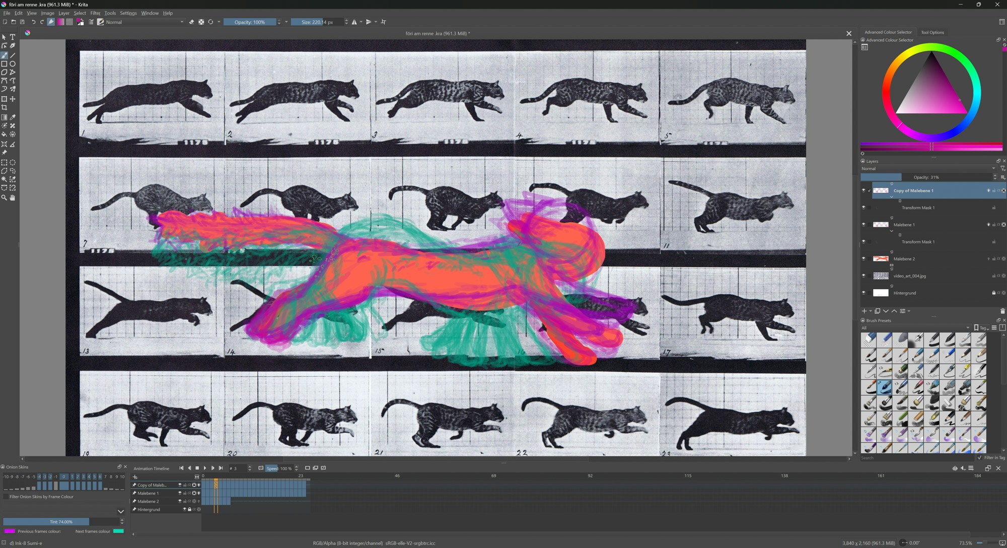 Animation