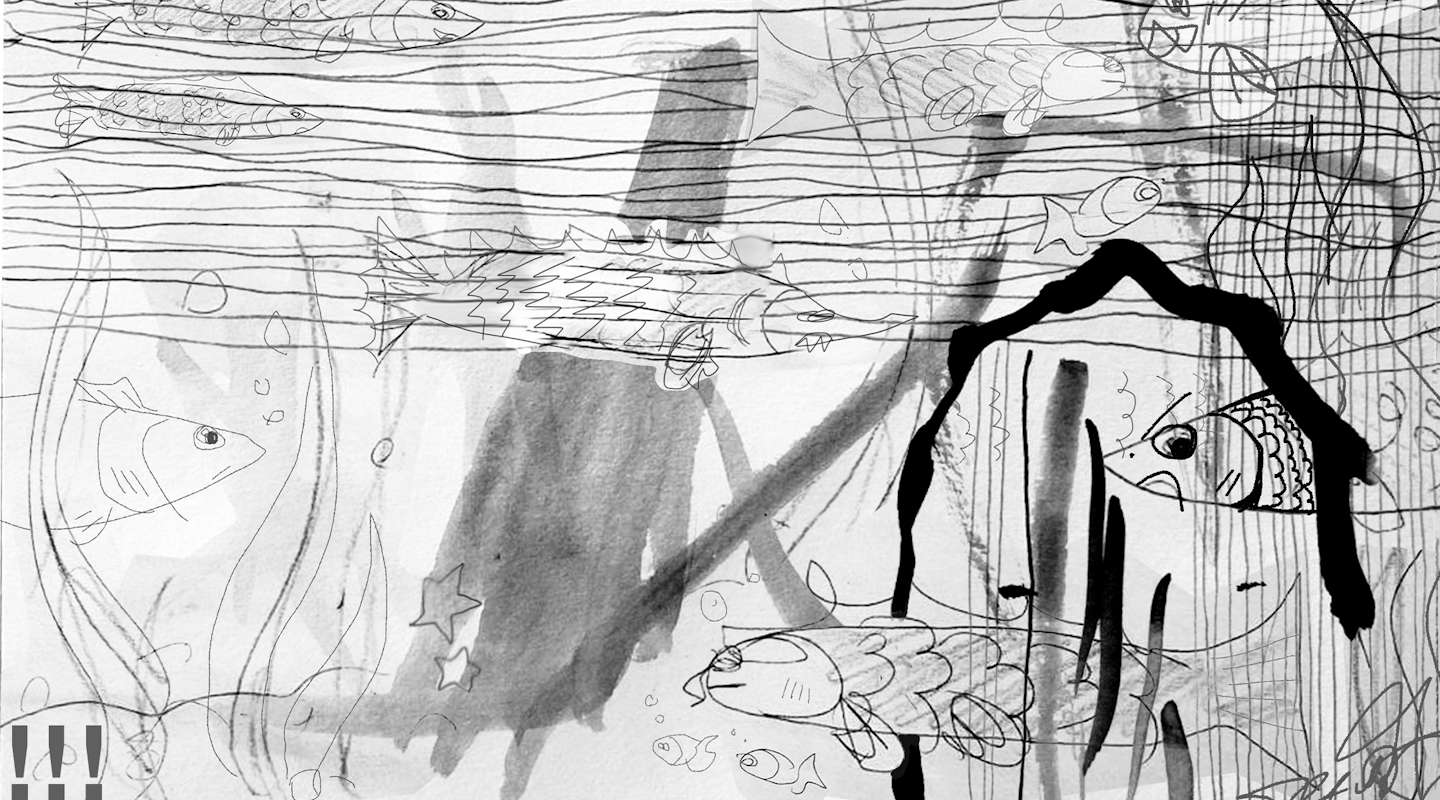 Bild