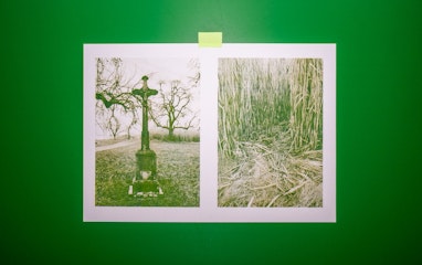 Fotos und Druckmotiv: Nevis Holz, Alumna Propädeutikum 25/26 Risographie