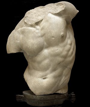 Gaddi Torso